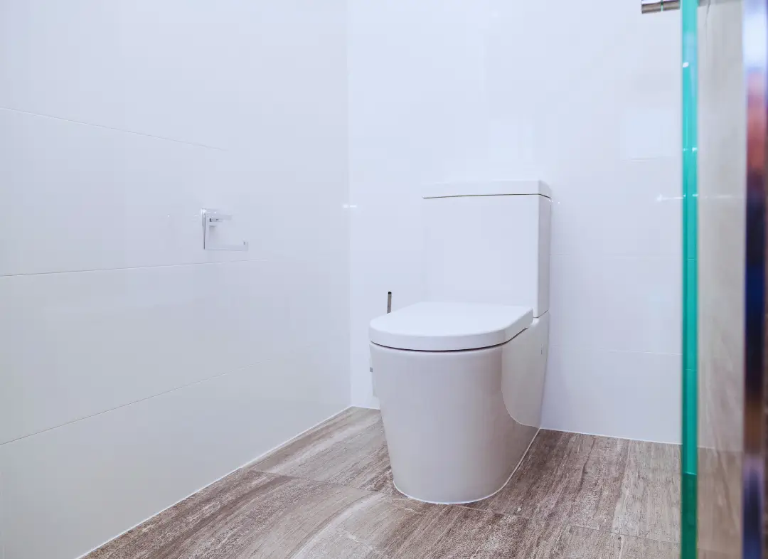 Remplacement de wc Sommières